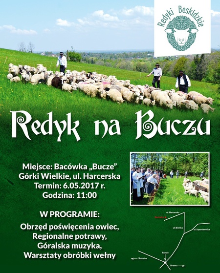  (kliknięcie spowoduje powiększenie obrazu)