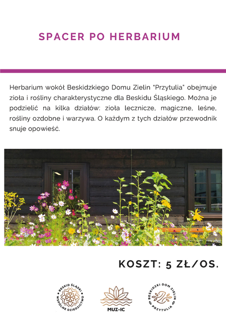 Beskidzki Dom Zielin "Przytulia" - Oferta Warsztatowa 2024 (kliknięcie spowoduje powiększenie obrazu)