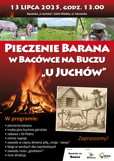  (kliknięcie spowoduje powiększenie obrazu)