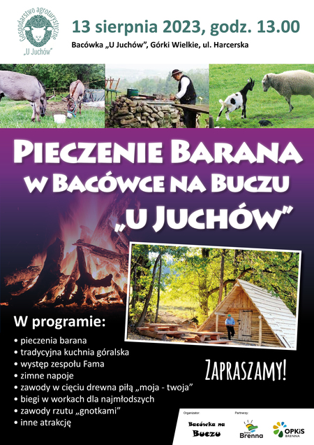  (kliknięcie spowoduje powiększenie obrazu)