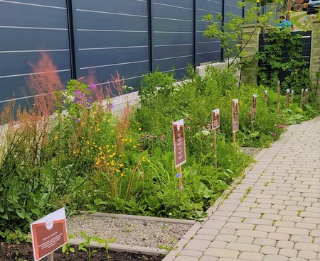  (kliknięcie spowoduje powiększenie obrazu)