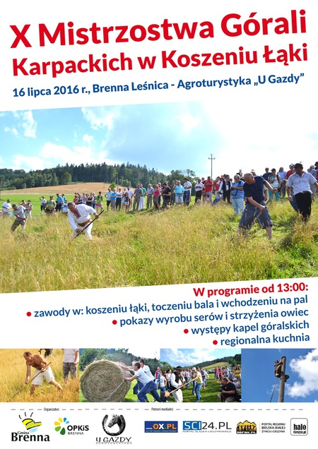  (kliknięcie spowoduje powiększenie obrazu)