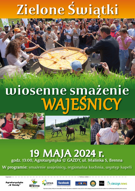 Zielone Świątki - wiosenne smażenie wajeśnicy (kliknięcie spowoduje powiększenie obrazu)