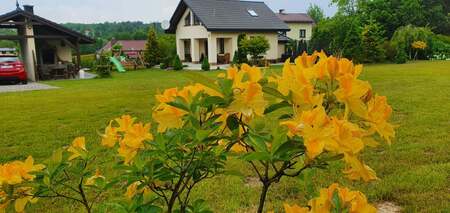  (kliknięcie spowoduje powiększenie obrazu)