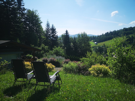  (kliknięcie spowoduje powiększenie obrazu)