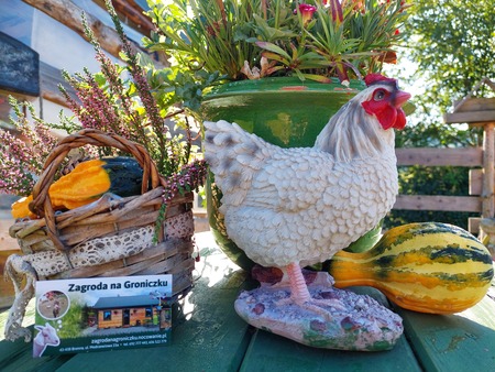  (kliknięcie spowoduje powiększenie obrazu)