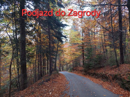  (kliknięcie spowoduje powiększenie obrazu)