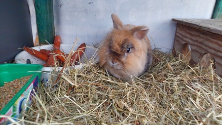  (kliknięcie spowoduje powiększenie obrazu)