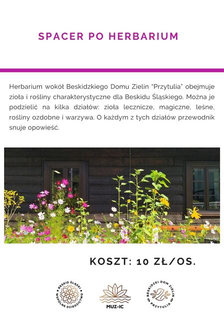  (kliknięcie spowoduje powiększenie obrazu)