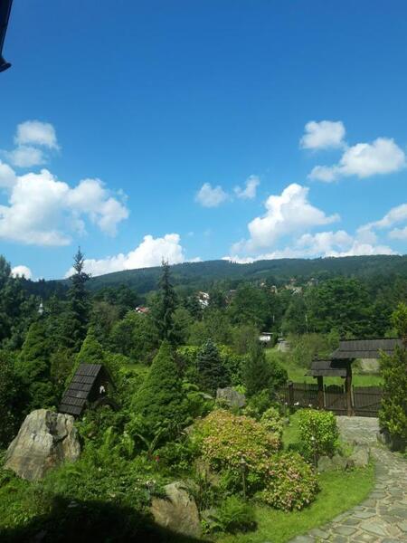  (kliknięcie spowoduje powiększenie obrazu)