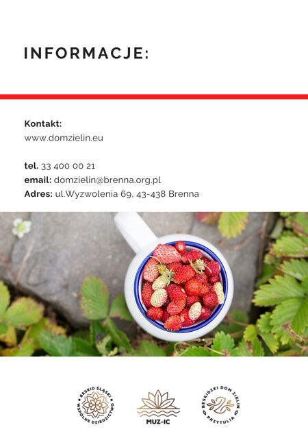  (kliknięcie spowoduje powiększenie obrazu)