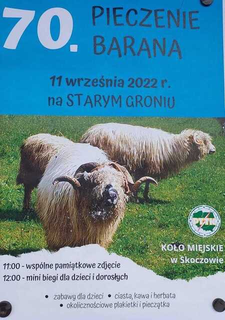  (kliknięcie spowoduje powiększenie obrazu)