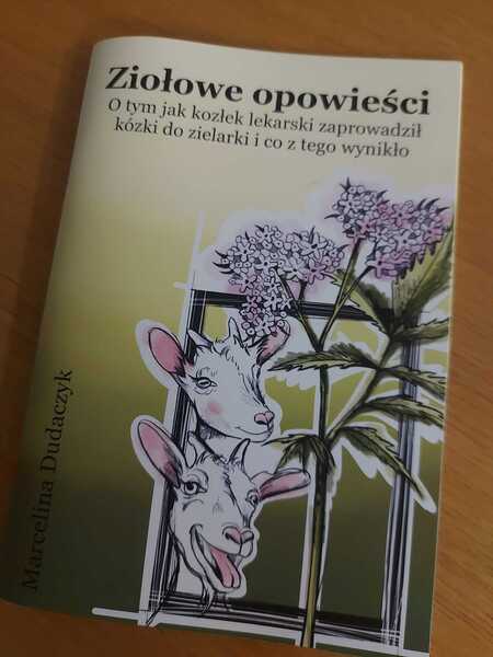  (kliknięcie spowoduje powiększenie obrazu)