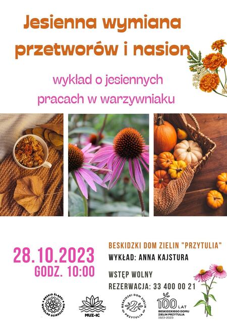  (kliknięcie spowoduje powiększenie obrazu)