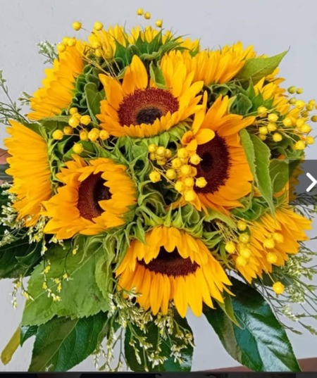  (kliknięcie spowoduje powiększenie obrazu)