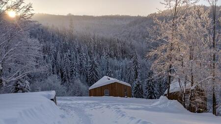  (kliknięcie spowoduje powiększenie obrazu)
