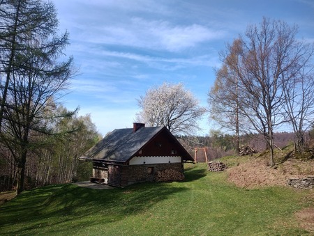  (kliknięcie spowoduje powiększenie obrazu)