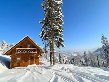  (kliknięcie spowoduje powiększenie obrazu)
