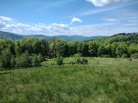  (kliknięcie spowoduje powiększenie obrazu)