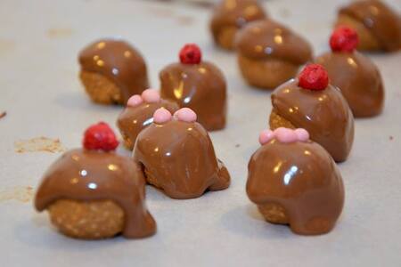  (kliknięcie spowoduje powiększenie obrazu)