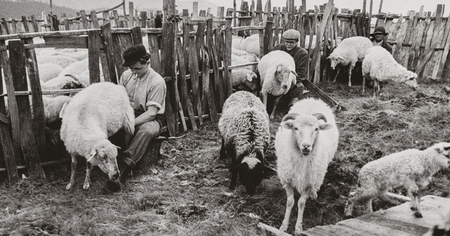  (kliknięcie spowoduje powiększenie obrazu)