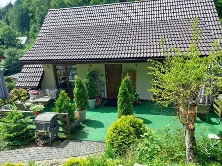  (kliknięcie spowoduje powiększenie obrazu)