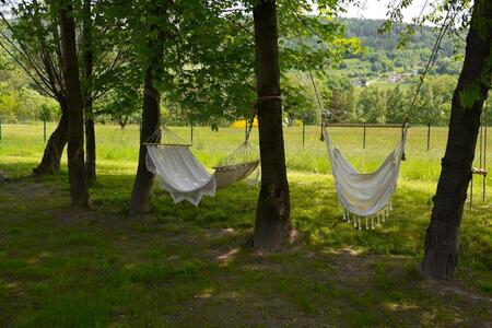  (kliknięcie spowoduje powiększenie obrazu)