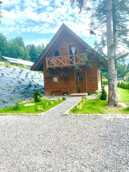  (kliknięcie spowoduje powiększenie obrazu)