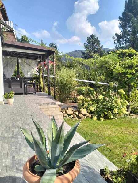  (kliknięcie spowoduje powiększenie obrazu)