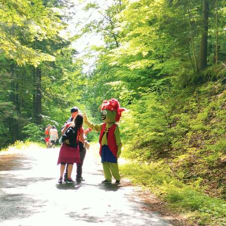  (kliknięcie spowoduje powiększenie obrazu)