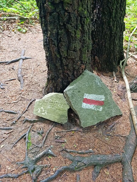  (kliknięcie spowoduje powiększenie obrazu)