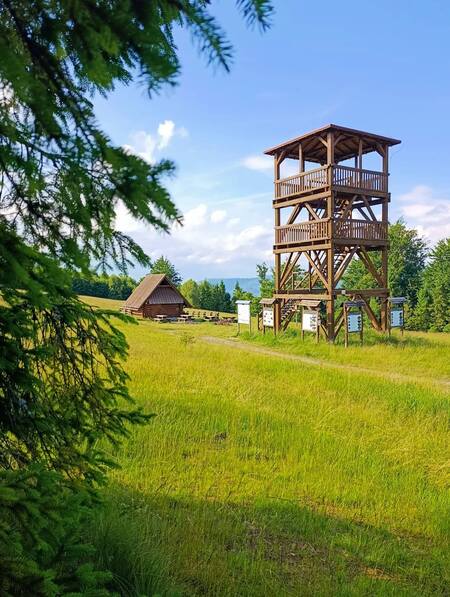  (kliknięcie spowoduje powiększenie obrazu)