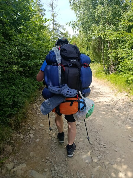  (kliknięcie spowoduje powiększenie obrazu)