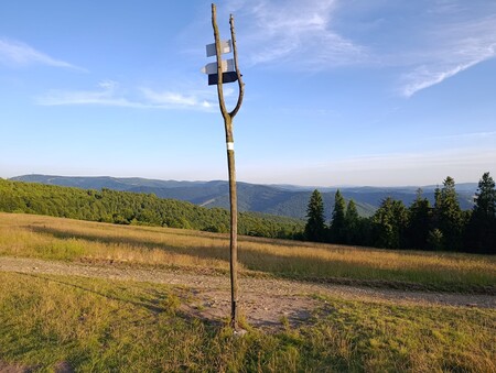  (kliknięcie spowoduje powiększenie obrazu)