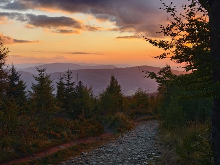  (kliknięcie spowoduje powiększenie obrazu)