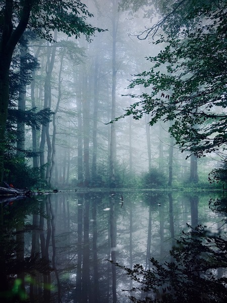  (kliknięcie spowoduje powiększenie obrazu)