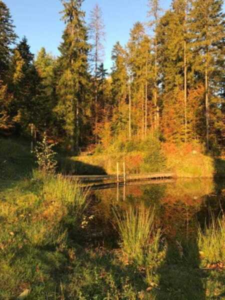  (kliknięcie spowoduje powiększenie obrazu)