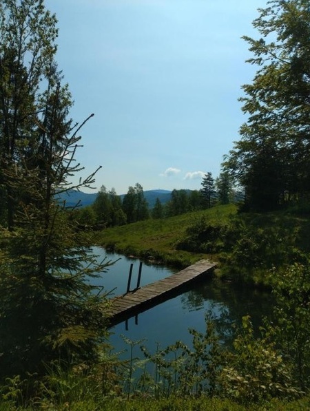  (kliknięcie spowoduje powiększenie obrazu)