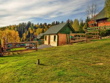  (kliknięcie spowoduje powiększenie obrazu)
