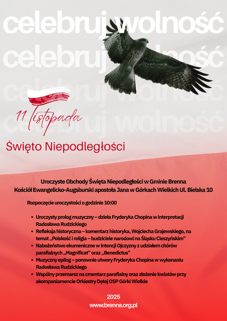  (kliknięcie spowoduje powiększenie obrazu)