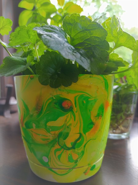  (kliknięcie spowoduje powiększenie obrazu)