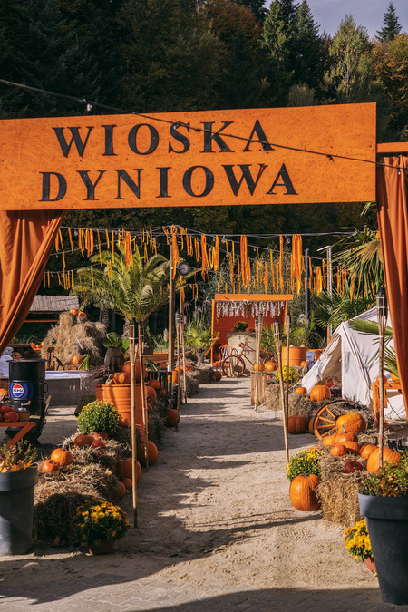  (kliknięcie spowoduje powiększenie obrazu)