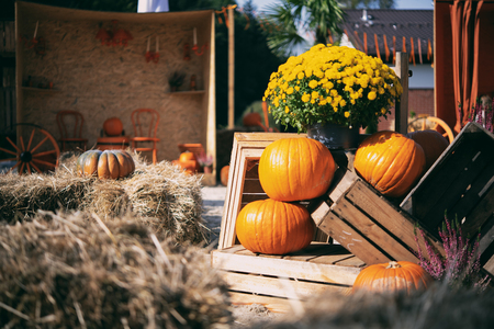  (kliknięcie spowoduje powiększenie obrazu)