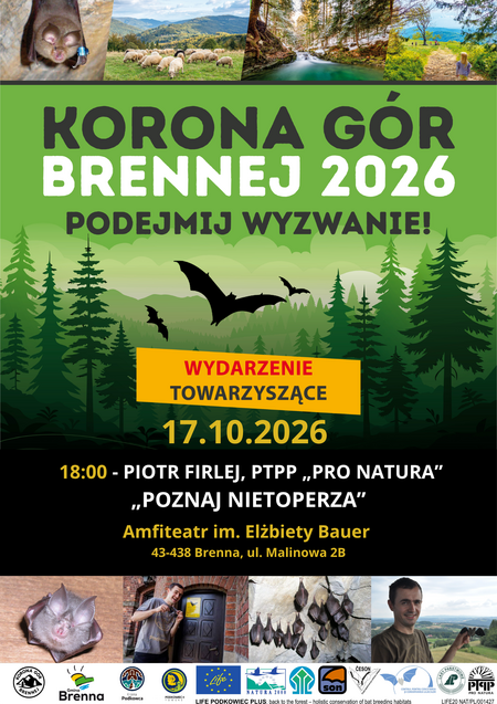  (kliknięcie spowoduje powiększenie obrazu)
