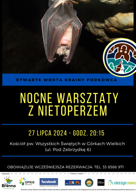  (kliknięcie spowoduje powiększenie obrazu)