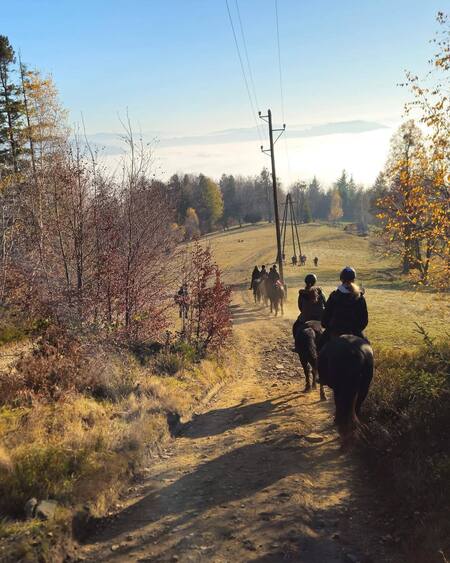  (kliknięcie spowoduje powiększenie obrazu)