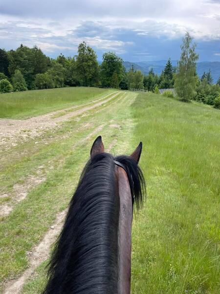  (kliknięcie spowoduje powiększenie obrazu)