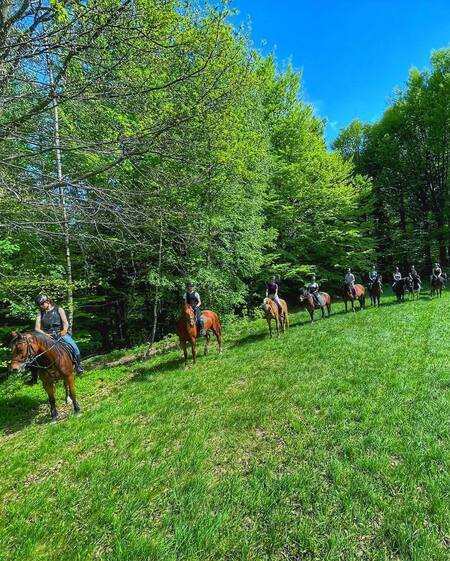  (kliknięcie spowoduje powiększenie obrazu)