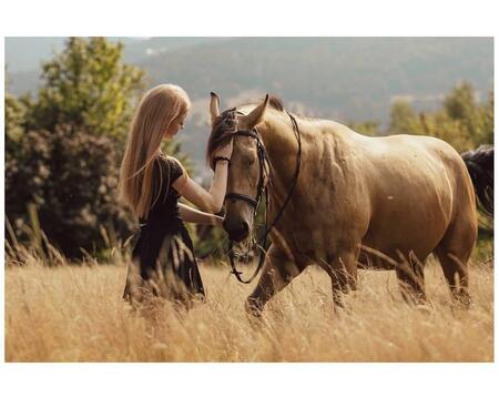  (kliknięcie spowoduje powiększenie obrazu)