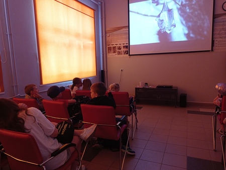  (kliknięcie spowoduje powiększenie obrazu)